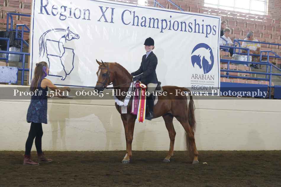 Proof Number 15R11_06085