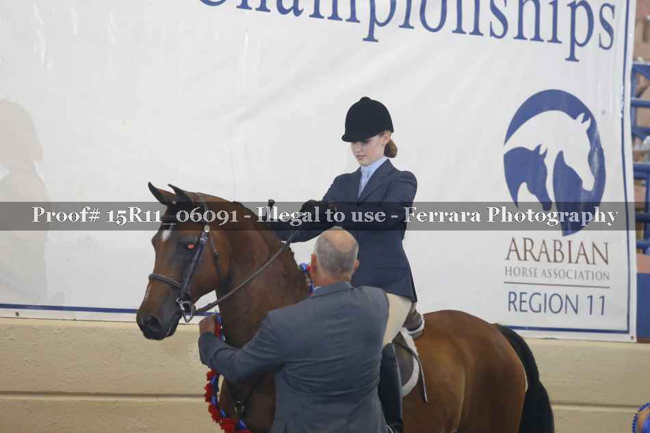 Proof Number 15R11_06091