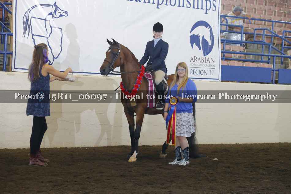 Proof Number 15R11_06097