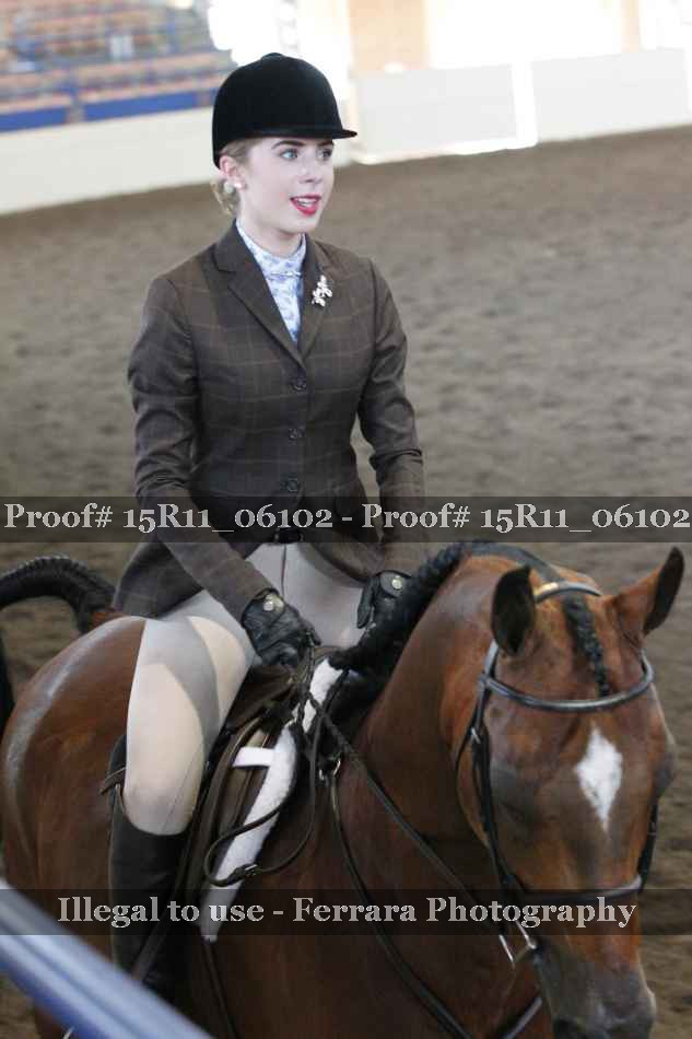 Proof Number 15R11_06102