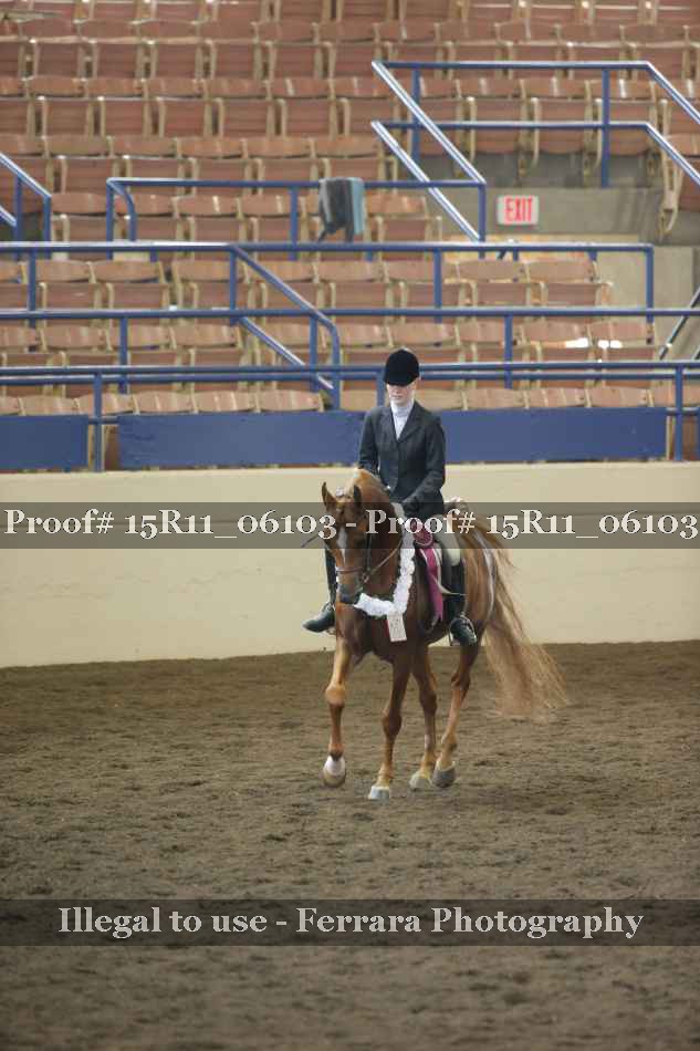Proof Number 15R11_06103