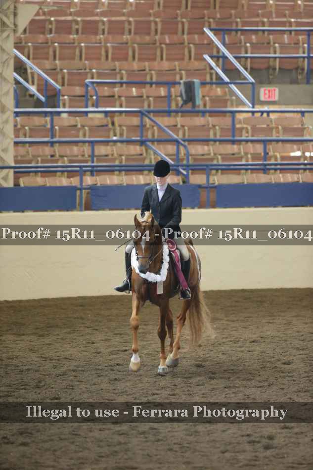 Proof Number 15R11_06104