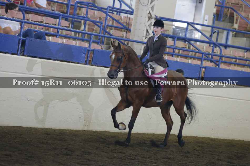 Proof Number 15R11_06105