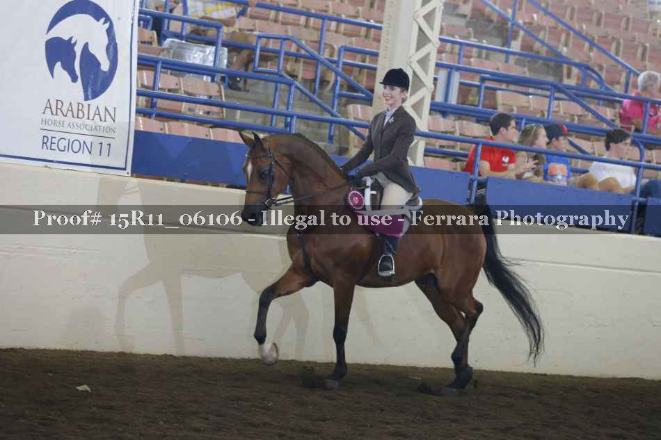 Proof Number 15R11_06106
