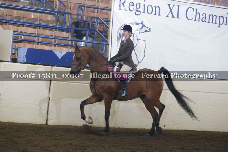 Proof Number 15R11_06107
