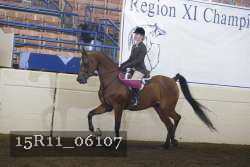 15R11_06107 thumbnail