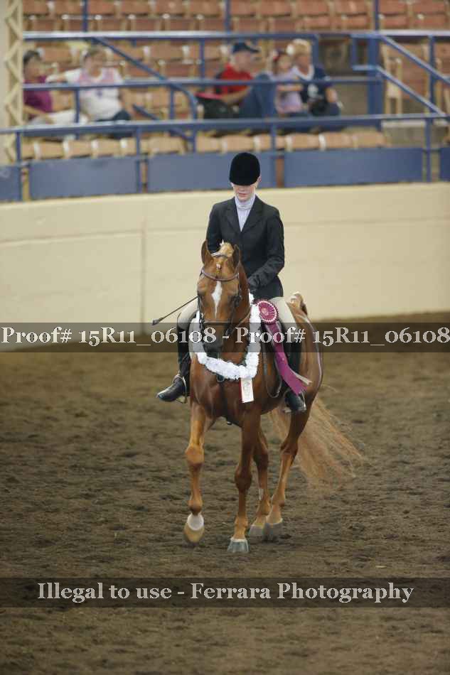 Proof Number 15R11_06108