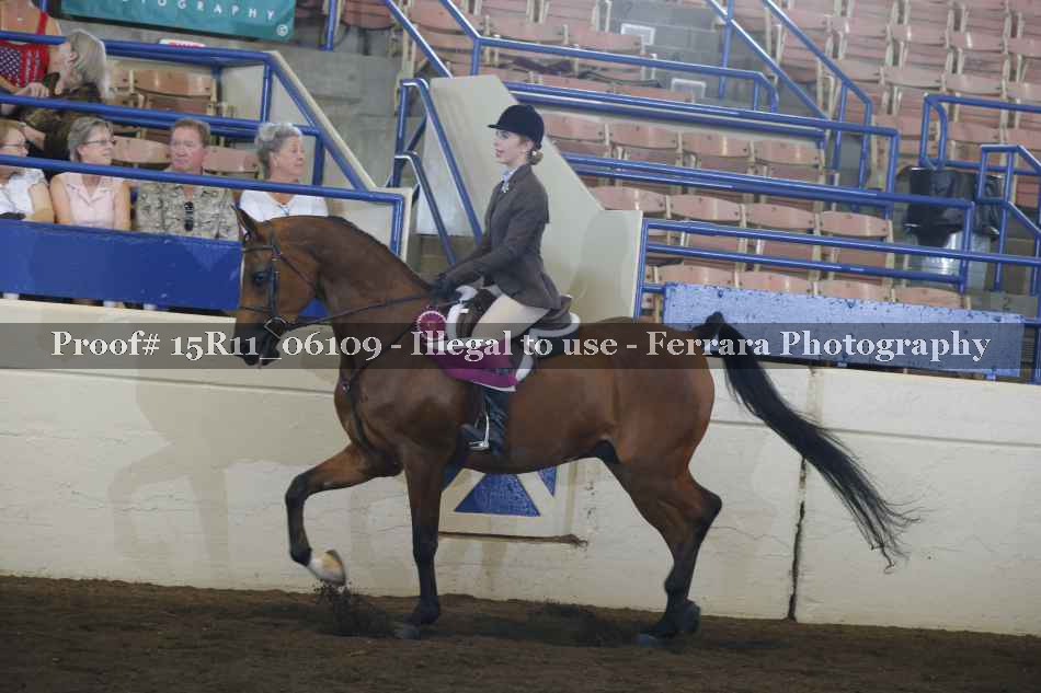 Proof Number 15R11_06109