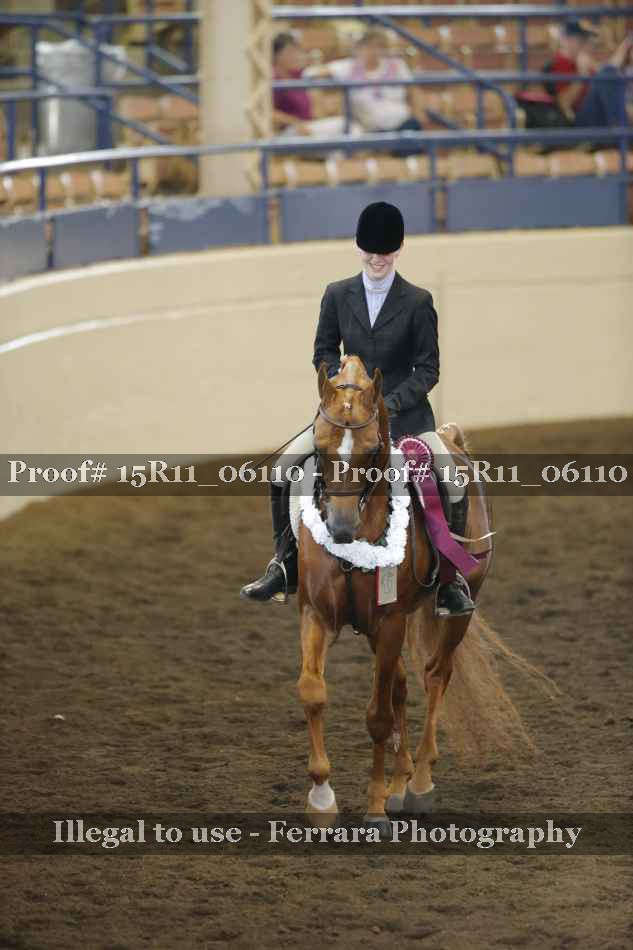 Proof Number 15R11_06110