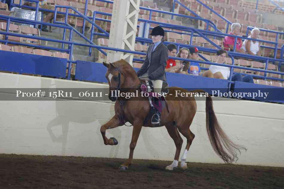 Proof Number 15R11_06111