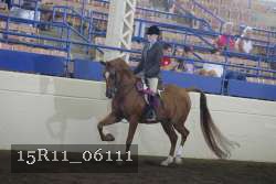 15R11_06111 thumbnail