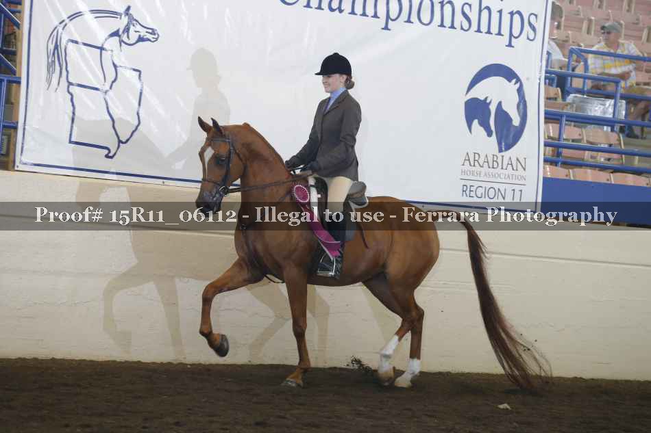 Proof Number 15R11_06112