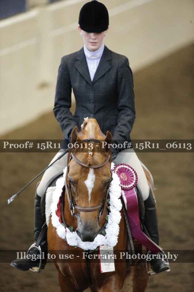 Proof Number 15R11_06113