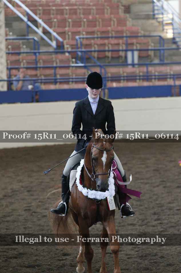 Proof Number 15R11_06114