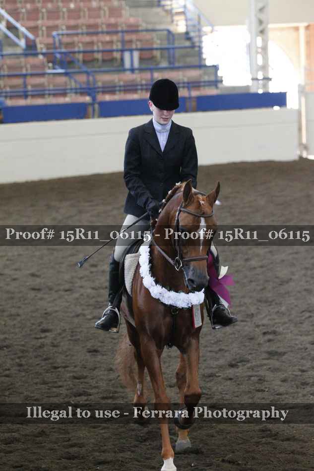 Proof Number 15R11_06115