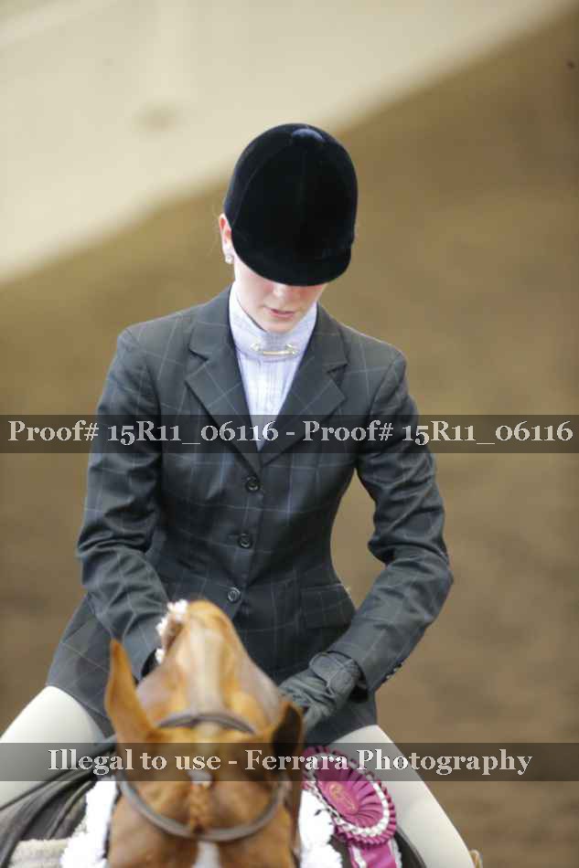 Proof Number 15R11_06116