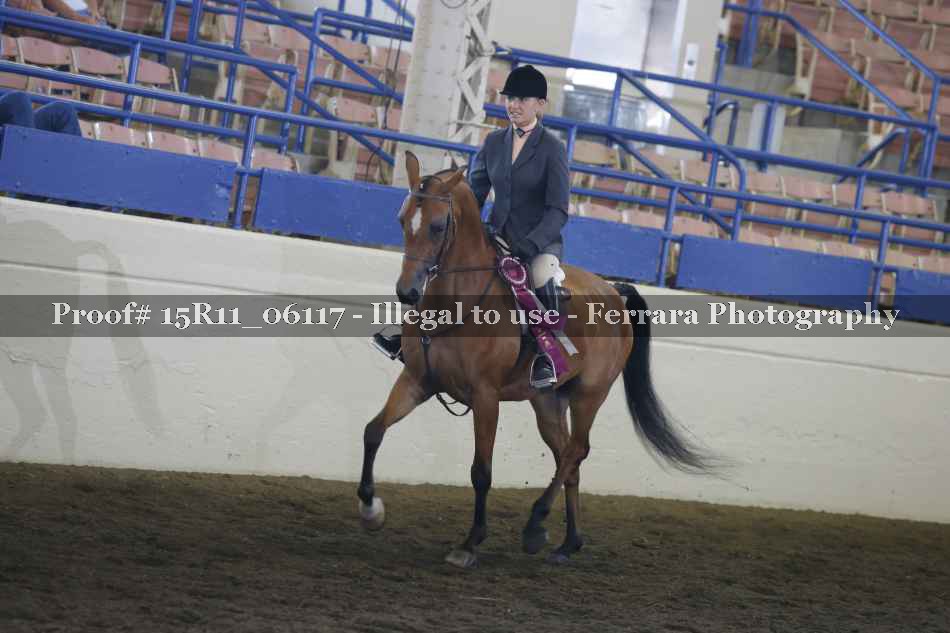 Proof Number 15R11_06117
