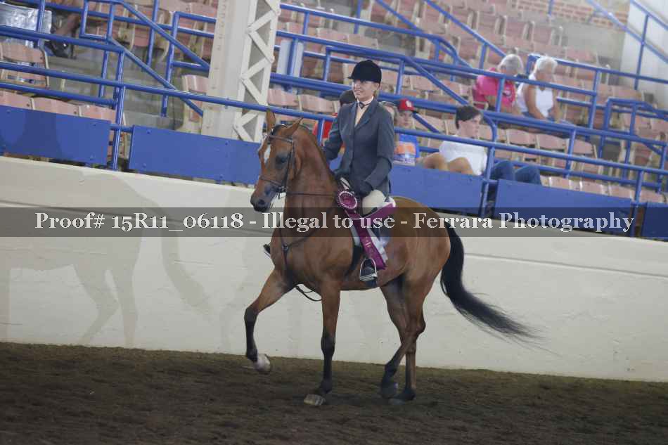 Proof Number 15R11_06118