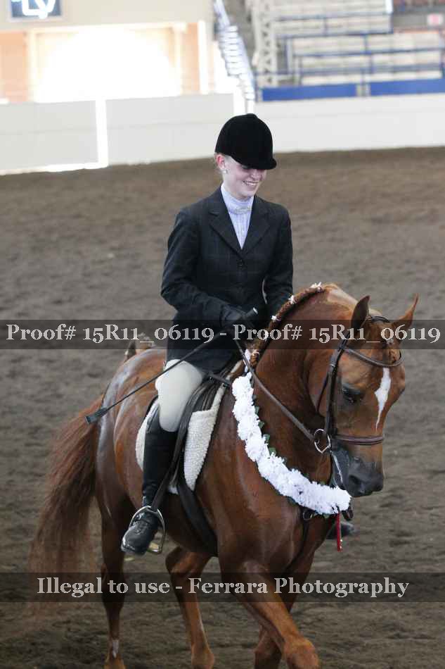 Proof Number 15R11_06119