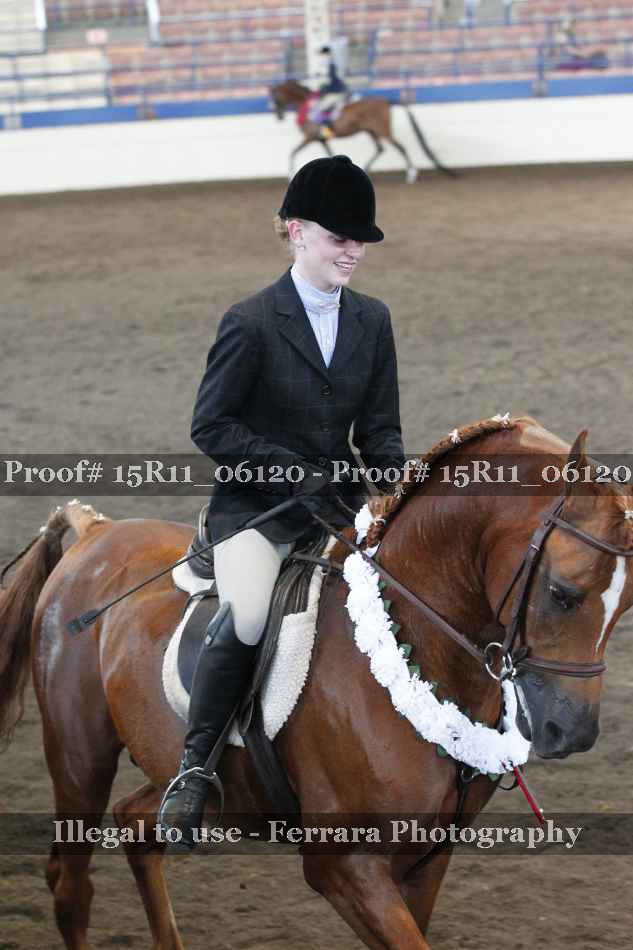 Proof Number 15R11_06120