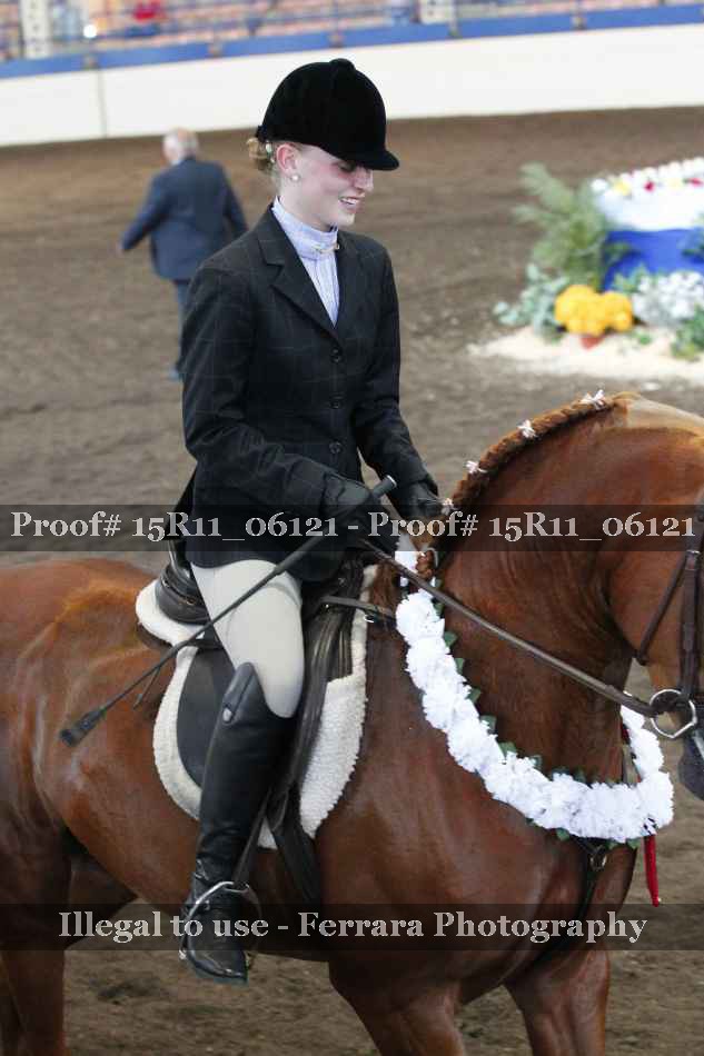 Proof Number 15R11_06121