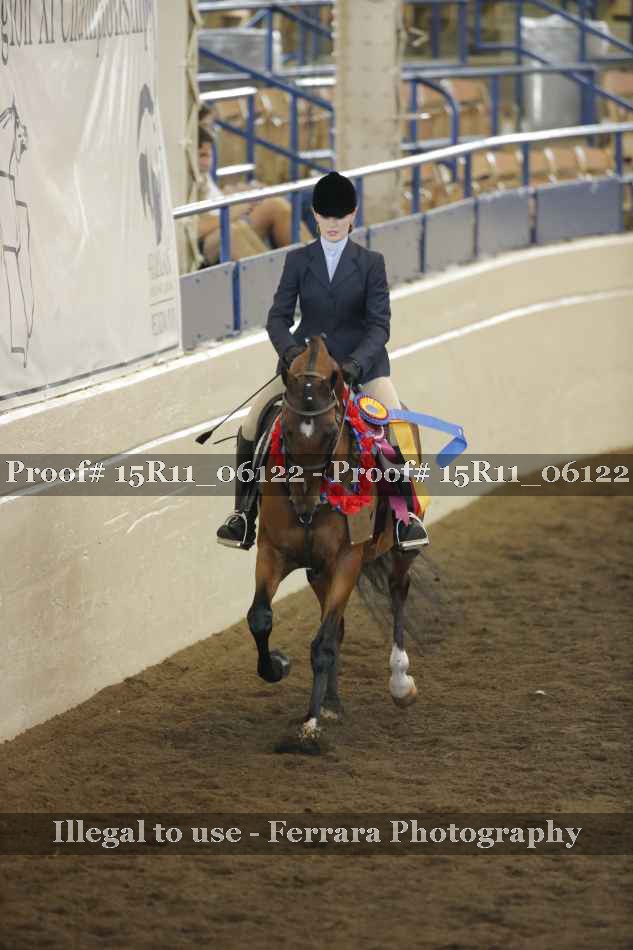 Proof Number 15R11_06122