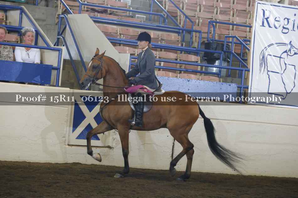 Proof Number 15R11_06123