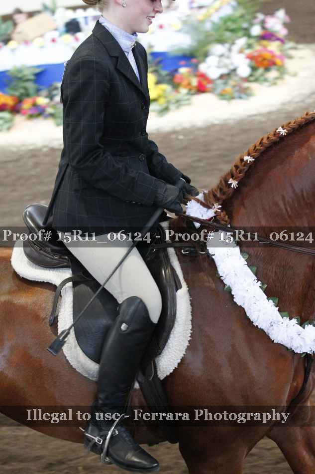 Proof Number 15R11_06124