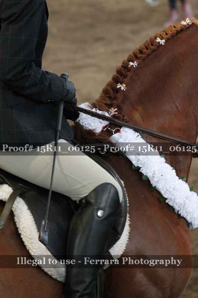 Proof Number 15R11_06125