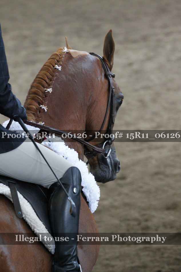 Proof Number 15R11_06126