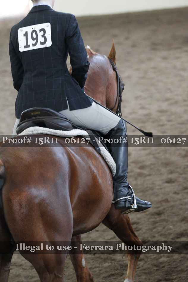 Proof Number 15R11_06127