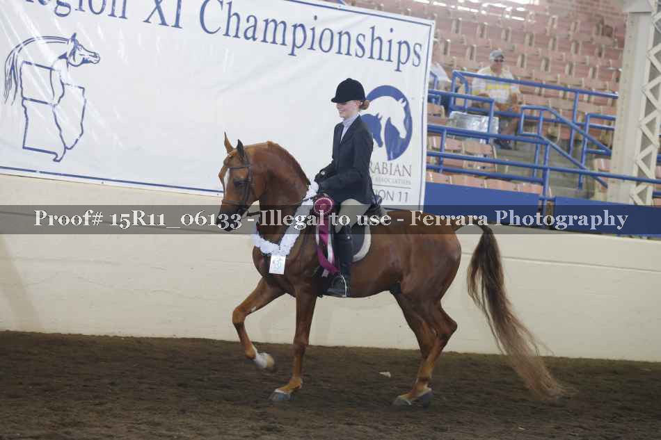 Proof Number 15R11_06133