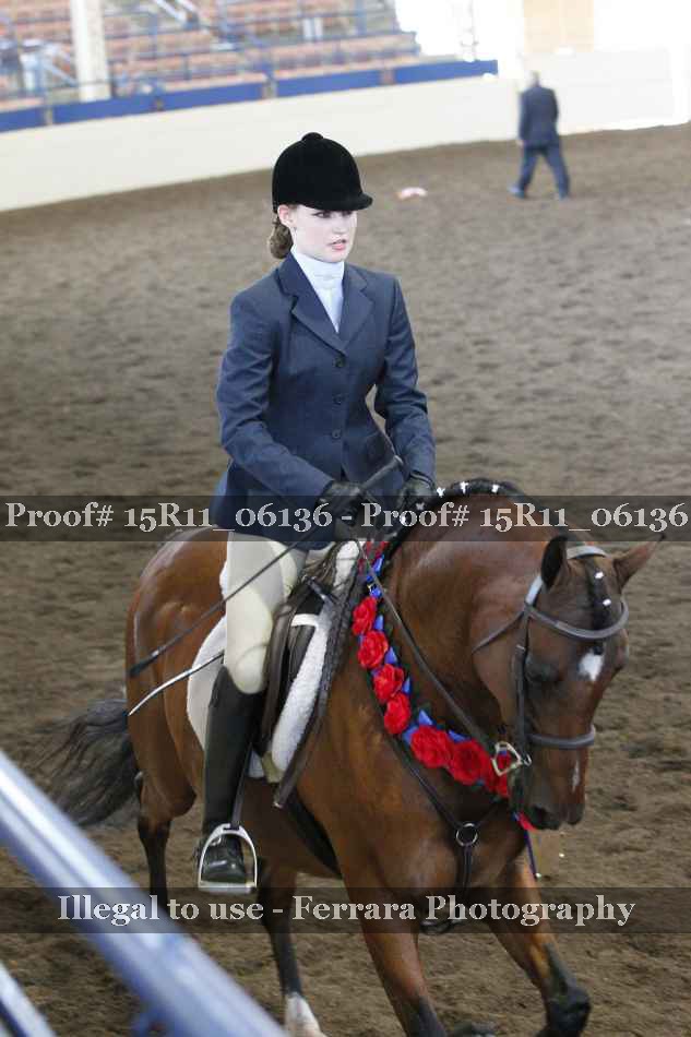 Proof Number 15R11_06136