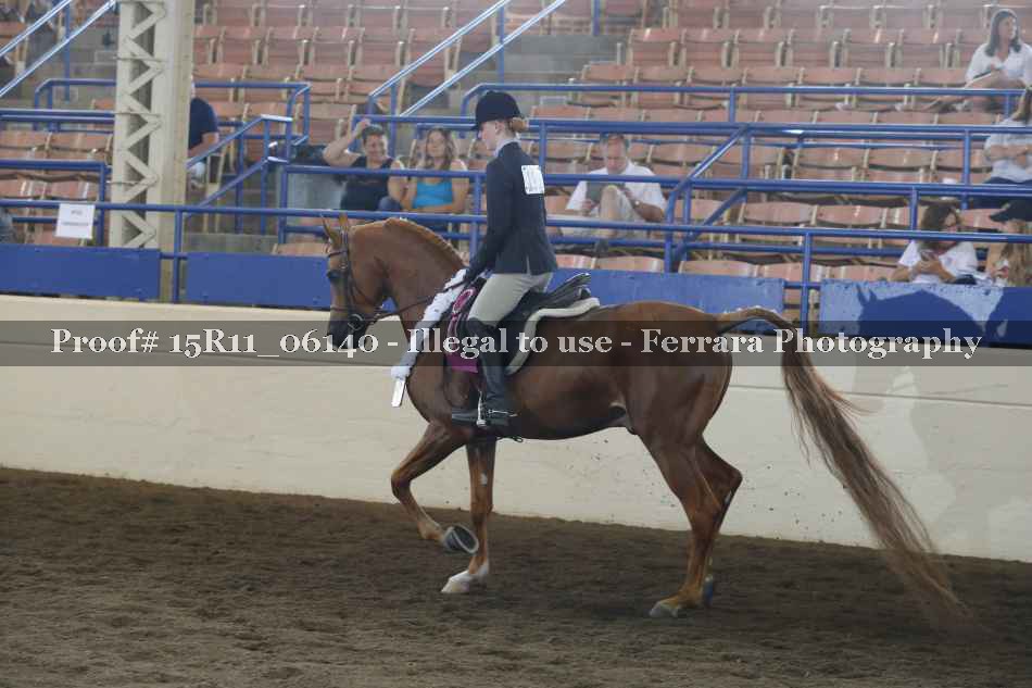 Proof Number 15R11_06140