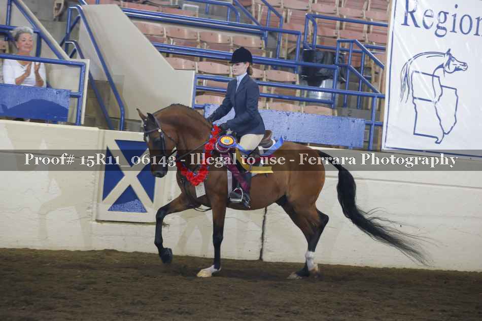 Proof Number 15R11_06143