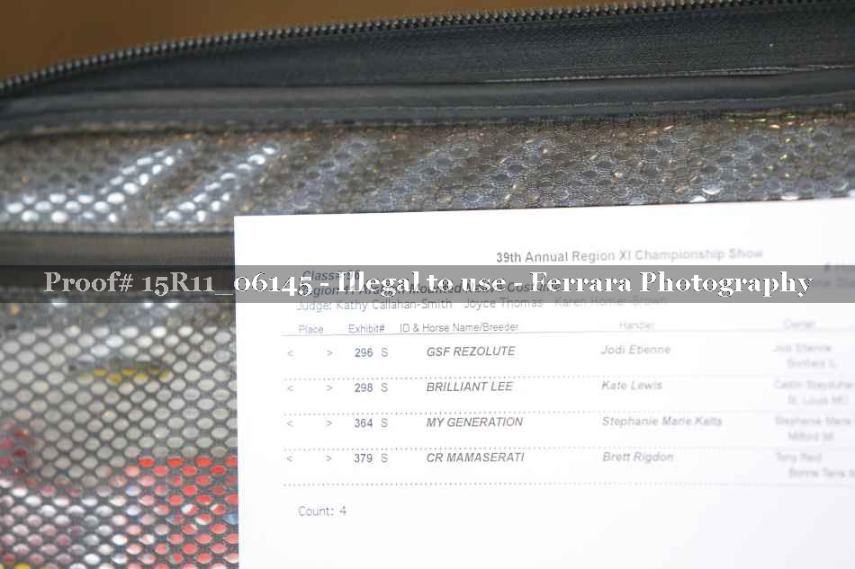 Proof Number 15R11_06145