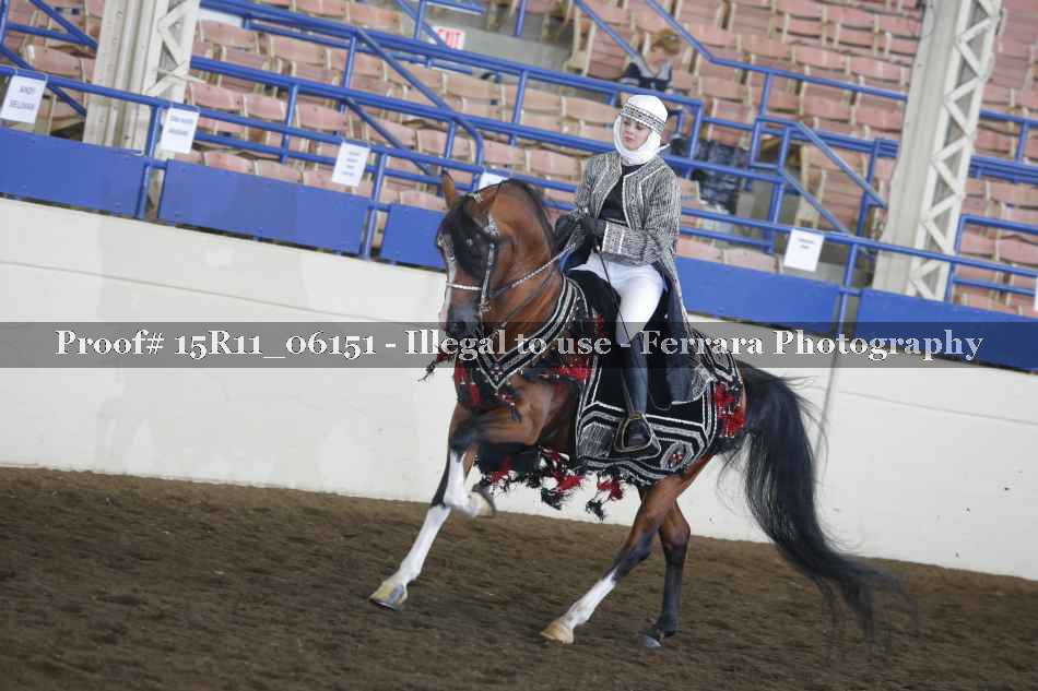 Proof Number 15R11_06151
