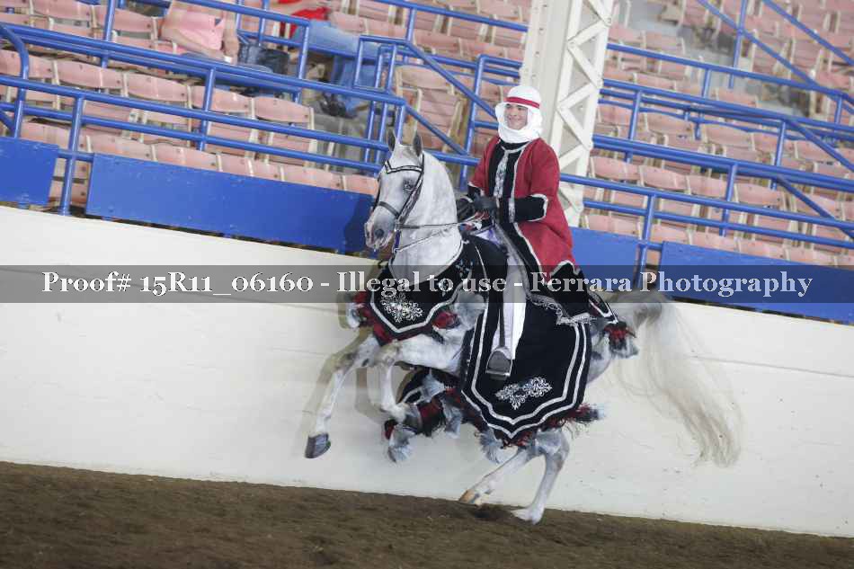 Proof Number 15R11_06160