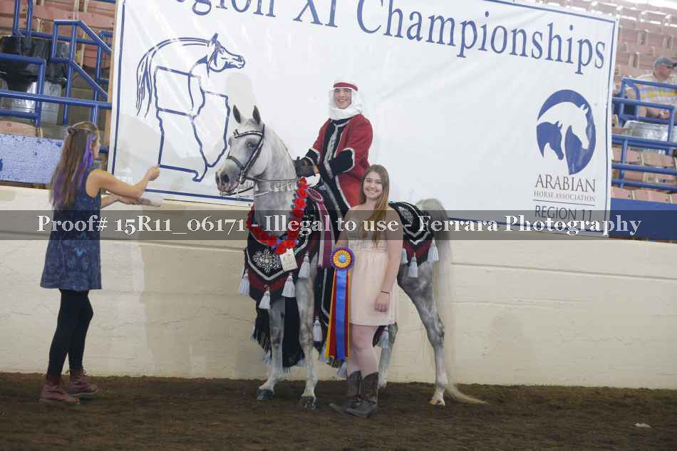 Proof Number 15R11_06171