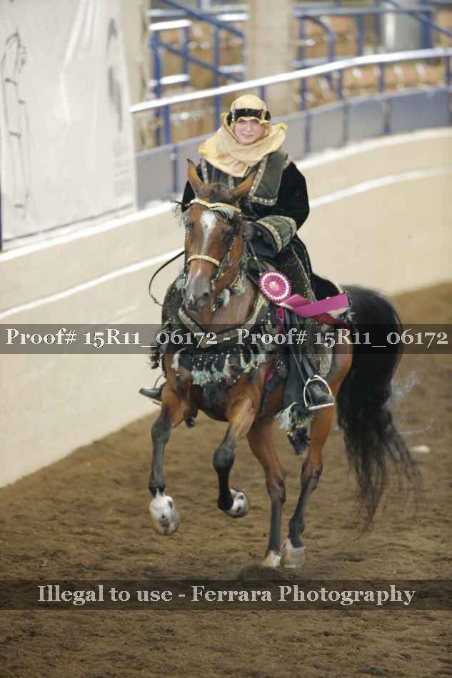 Proof Number 15R11_06172