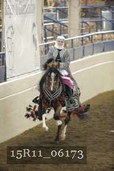 15R11_06173 thumbnail