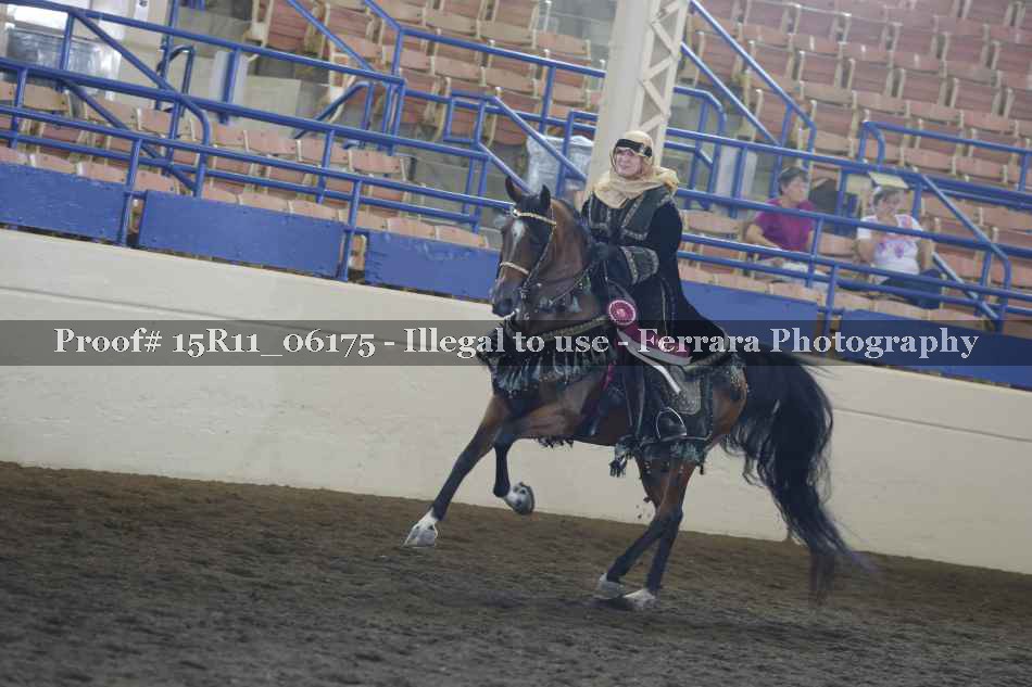Proof Number 15R11_06175