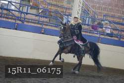 15R11_06175 thumbnail