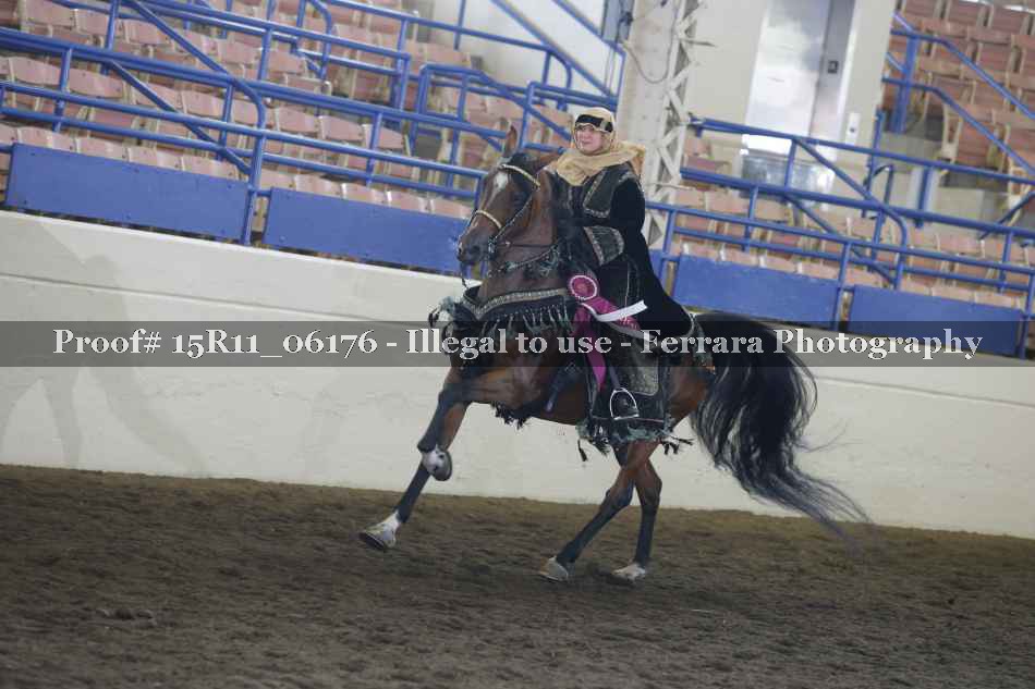 Proof Number 15R11_06176