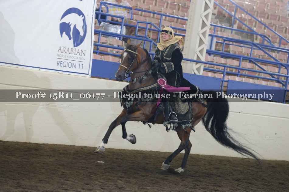 Proof Number 15R11_06177