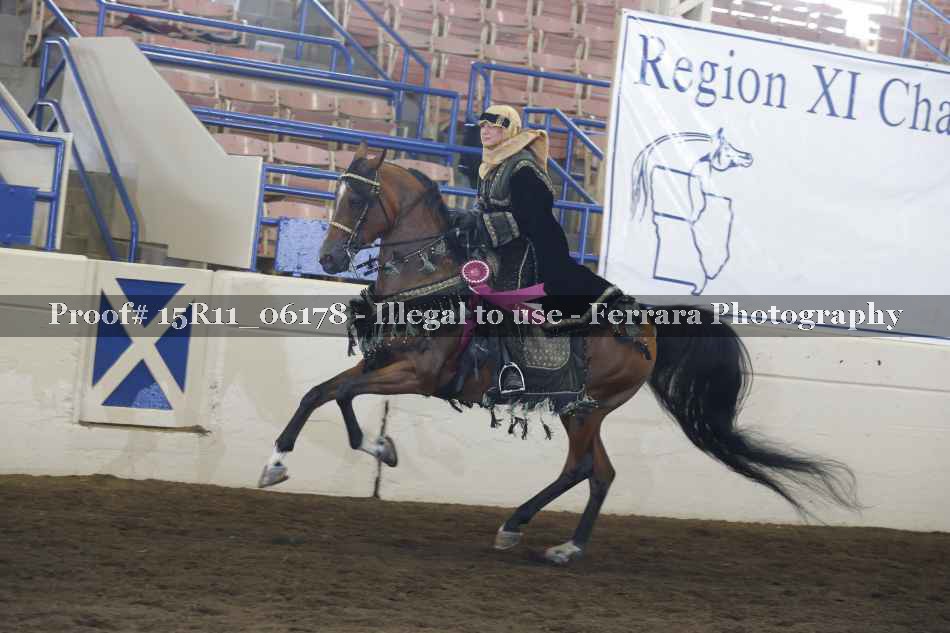 Proof Number 15R11_06178