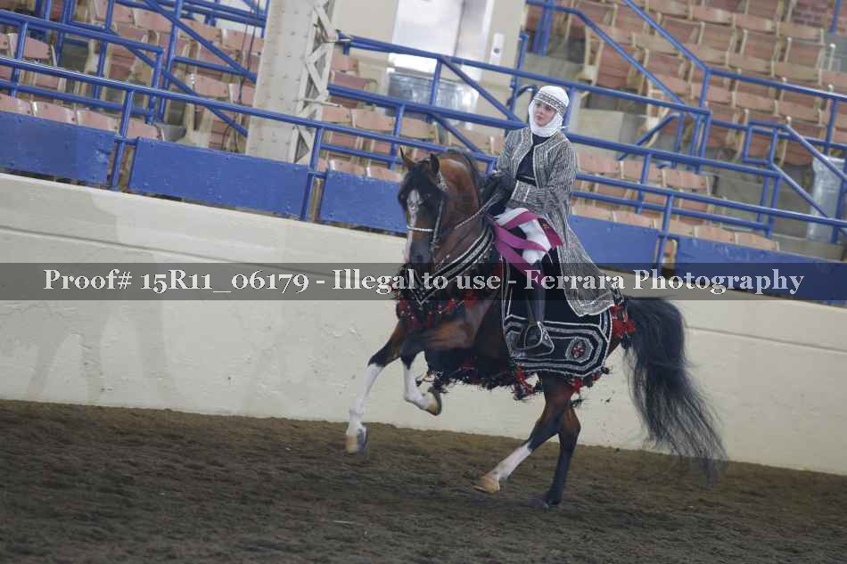 Proof Number 15R11_06179