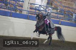 15R11_06179 thumbnail