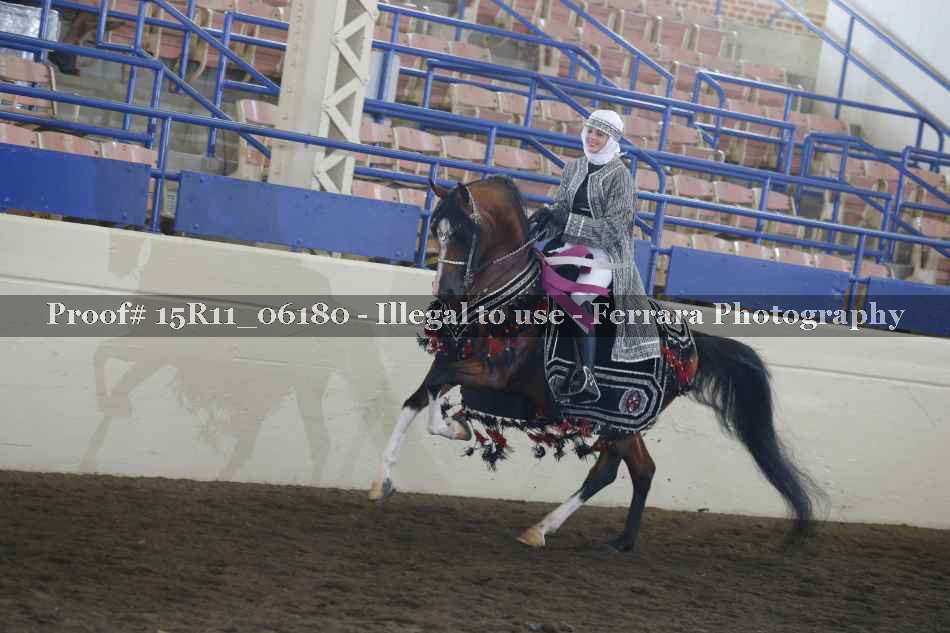 Proof Number 15R11_06180