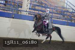 15R11_06180 thumbnail